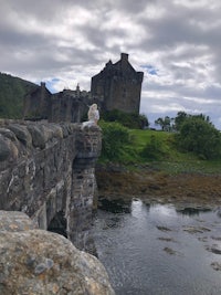 edinburgh, scotland - edinburgh castle, edinburgh, scotl
