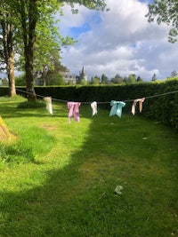 clothes drying on a line in a grassy area