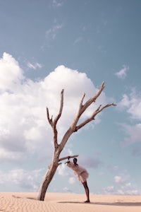 a man standing on a dead tree in the desert